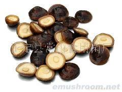 供应Manbetx体育手机版V17版本发布.官网安卓网.香港