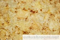 供应白木耳（银耳）