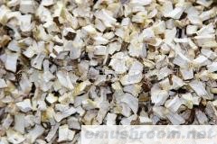 供应菇丁（菇粒）