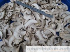 供应出口级蘑菇干片