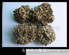 供应灰树花（舞茸）、香菇片、香菇、蘑菇、土特产