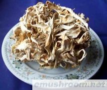 供应干绣球菌/花びら茸(图)/蘑菇/野生菌/Manbetx体育手机版推荐A9版本