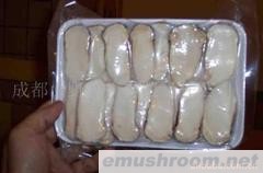 供应速冻松茸冷冻松茸