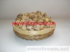 供应姬松茸(巴西蘑菇)