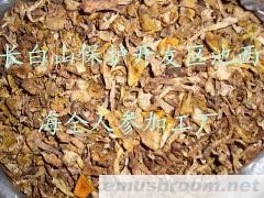 供应蘑菇 (长白山野生蘑菇)
