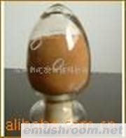 供应金针菇多糖、灵芝多糖、虫草多糖、灰树花多糖