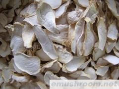 供应切片干品 盐渍杏鲍菇（雪茸)