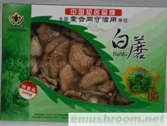 供应优质白蘑white mushroom