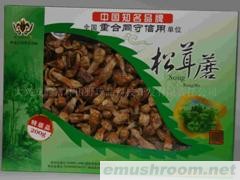 供应优质松茸蘑Agaricus bisporus