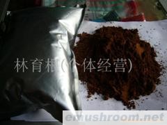 供应灵芝孢子粉