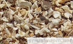 供应香菇粒 竹荪 红菇 鲜笋片 黑木耳 香菇