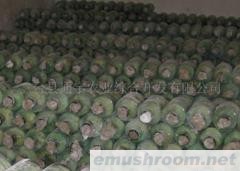 供应盐渍双孢菇子  干片  菌种