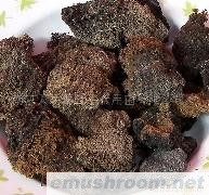 供应野生竹燕窝菌(图)