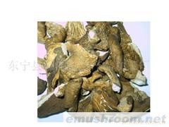 供应东北特产压缩元蘑