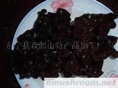 供应东北木耳(黑木耳压缩块)