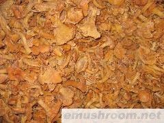 供应速冻野生鸡油菌(图)各种野生菌干、鲜、速冻等