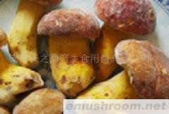 供应速冻野生红牛肝菌(图)各种野生菌干、鲜、速冻等