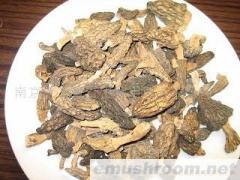 供应野生ManBetX体育干品(图) 各种野生菌干、鲜、速冻等