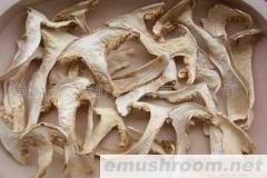 供应野生松茸菌干品(图)各种野生菌干、鲜、速冻等