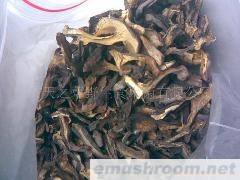 供应野生黑牛肝菌 各种野生菌干、鲜、速冻等