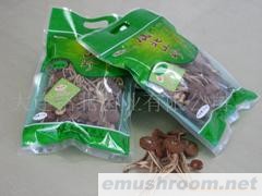 供应茶树菇