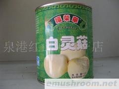 供应调味罐装白灵菇（815克）