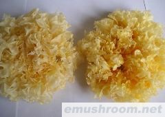 供应白木耳银耳(图)