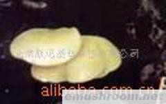 种植元蘑(统货)