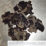 供应优质东北木耳