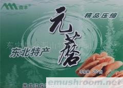 供应优质东北特产压缩野生元蘑