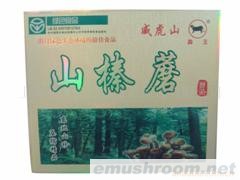 供应北大荒森王山榛蘑