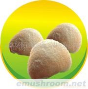 红菇，猕猴桃，板栗，香菇，天麻，猴头菇(图)