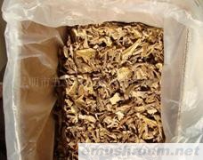 供应美味牛肝菌Ｂ级 黄牛肝 鸡油菌