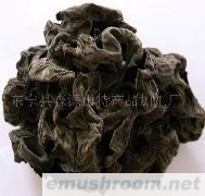 供应优质东北木耳(春耳)