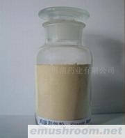 供应双胞蘑菇粉