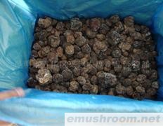 供应块菌冻品 无杂质