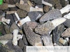 供应特价ManBetX体育