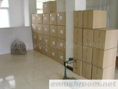 供应野生菌包装