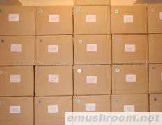 供应野生菌包装  野生菌