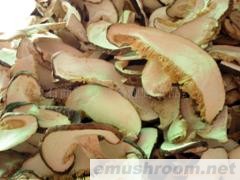 供应干香菇片大货特级25元每斤 一级23元每斤