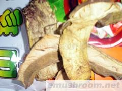 供应大量批发牛肝菌