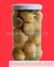 供应草菇straw mushroom(图)