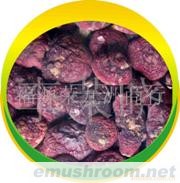 中药材、中成药批发、红香菇批发、红香菌，红蘑菇