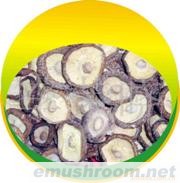 茶花菇，白花菇，光面菇，香菇丝条、干香菇