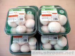 供应有机鲜ManBetX体育