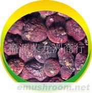 02B【支持支付宝安全交易】土特产红菇，红蘑菇