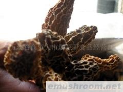 供应大量批ManBetX体育