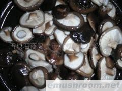 供应大量批盐汲菌