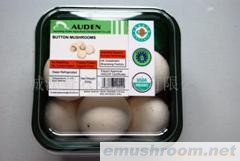 供应A级Manbetx体育手机版V17版本发布.官网安卓网.香港