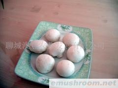 供应特级双孢菇